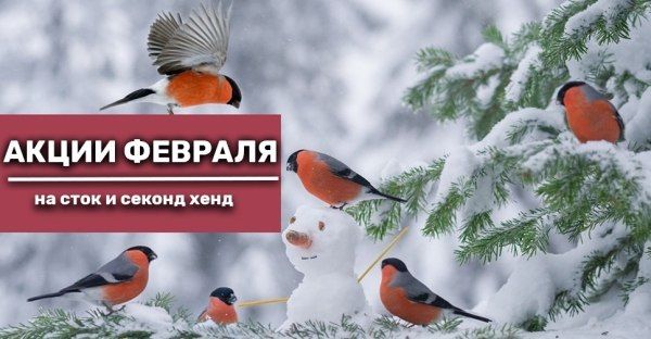 Акции февраля на сток и секонд хенд
