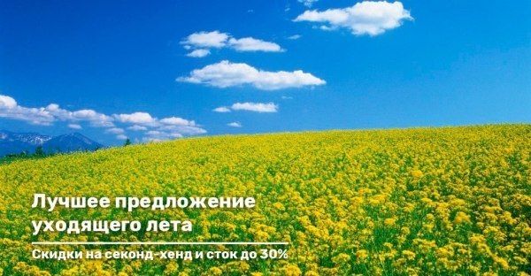 Лучшее предложение уходящего лета