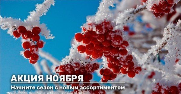 Акция ноября на сезонный товар