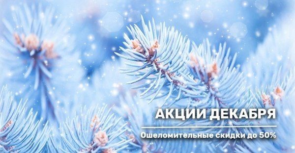 Акционные предложения декабря