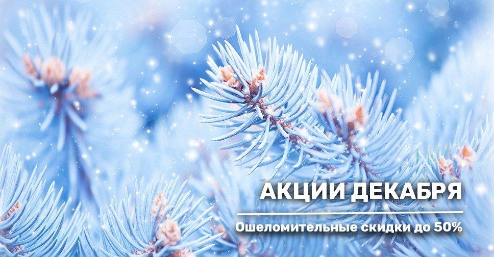 Акционные предложения декабря