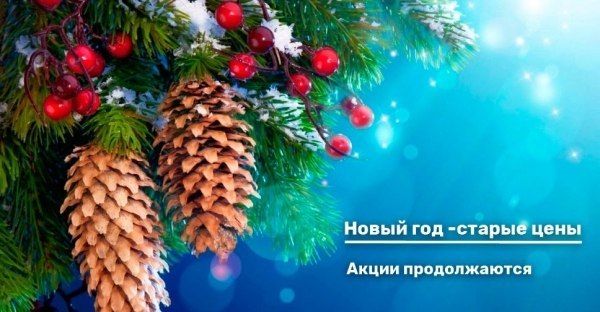 Новый год — старые цены