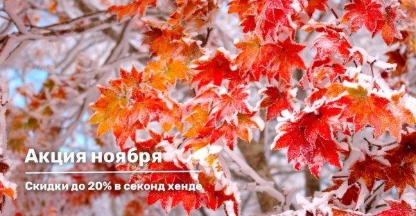 Ноябрьская акция на секонд-хенд