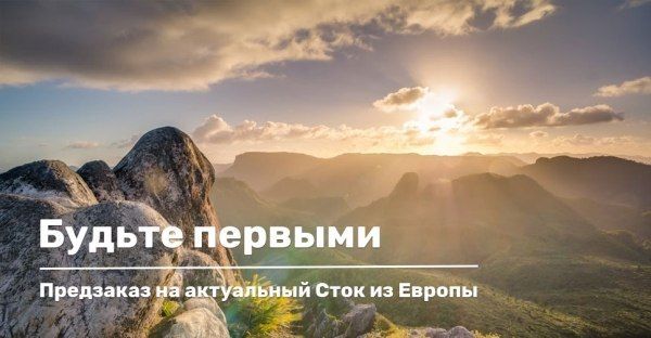 Предзаказ на актуальный Сток из Европы