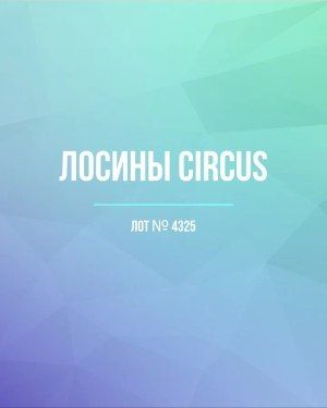 Лосины CIRCUS - Сток оптом