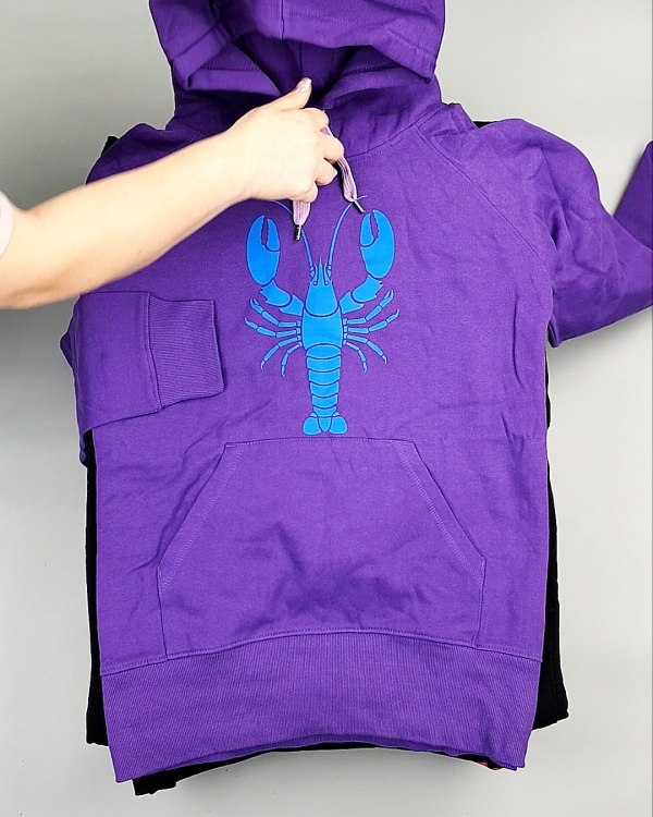 Фотография  473 - Толстовки м/ж (Sweat Tops)#20 кг, ЛОТ №7431 оптом