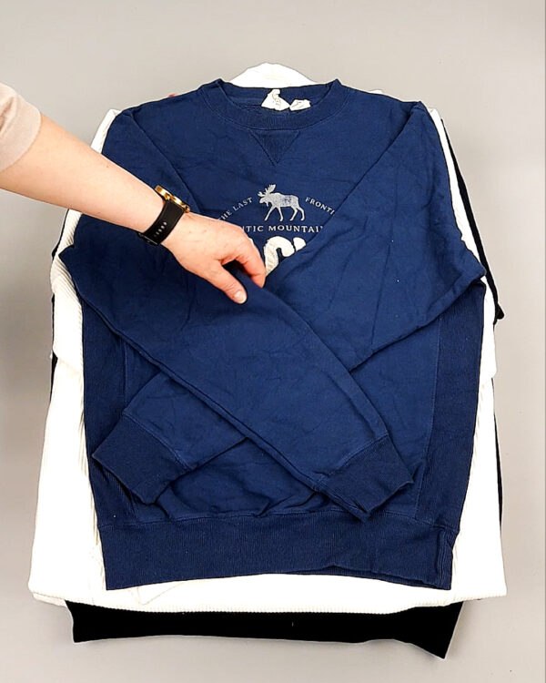 Фотография  226 - Толстовки муж BLUE CAN 084#10 кг, ЛОТ №8104 оптом