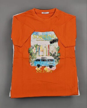 Купить Футболки мужские C-3141 (MEN T-shirt Sorbino) #4,7 кг, ЛОТ №8833 оптом