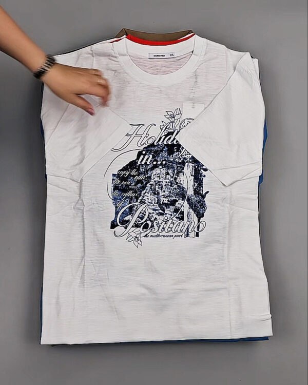 Фотография  243 - Футболки мужские C-3141 (MEN T-shirt Sorbino) #4,7 кг, ЛОТ №8833 оптом