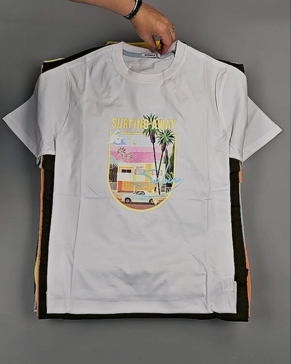 Фотография  809 - Футболки мужские C-3141 (MEN T-shirt Sorbino) #4,8 кг, ЛОТ №8835 оптом