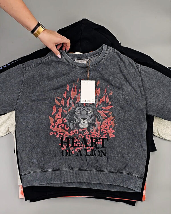 Фотография  228 - Толстовки Bestseller+DK 035#7 кг, ЛОТ СТ-9839 оптом